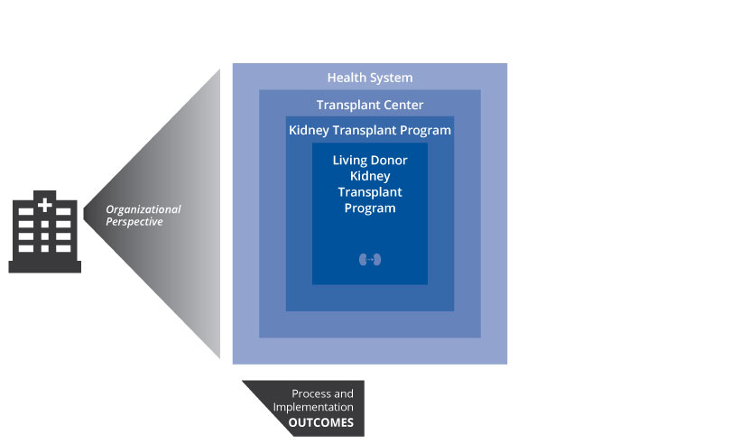 Graphic showing organization perspective