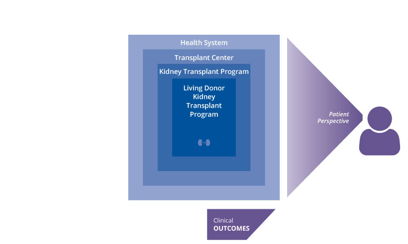 Graphic showing patient perspective