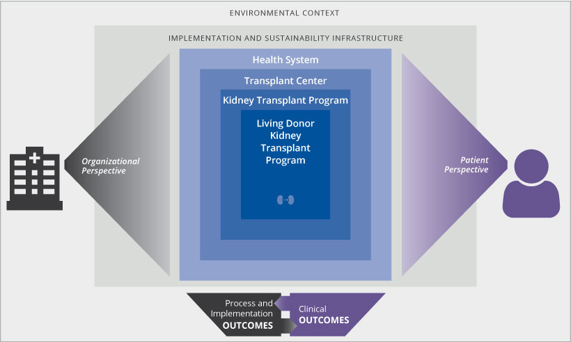 Graphic showing entire framework