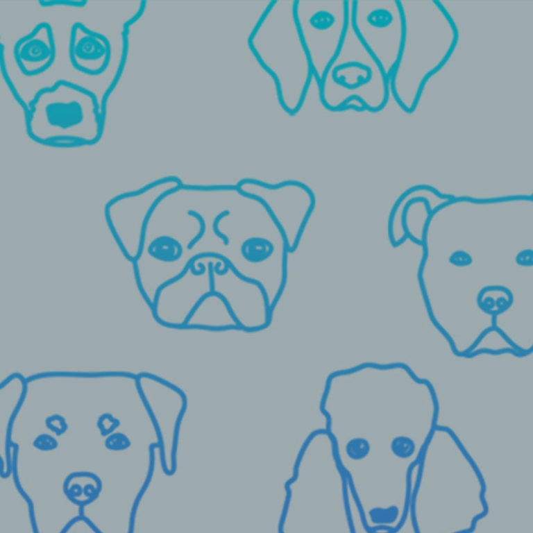 Thumbnail of six dog icons